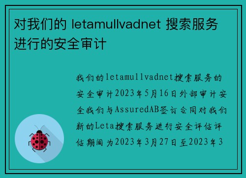 对我们的 letamullvadnet 搜索服务进行的安全审计 